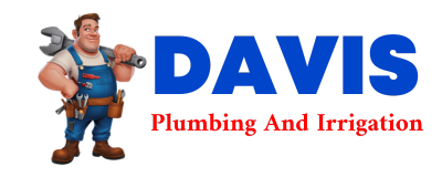 Trusted plumber in DISTANT